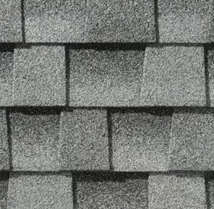 Timberline Birchwood